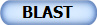 BLAST