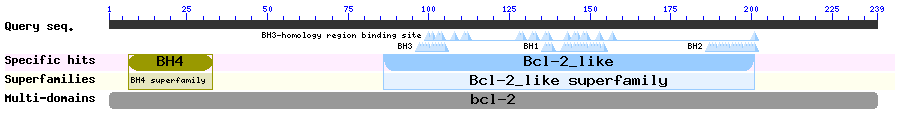 CD search result summary